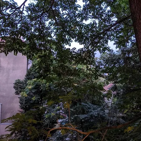 Quiet Courtyard 126a